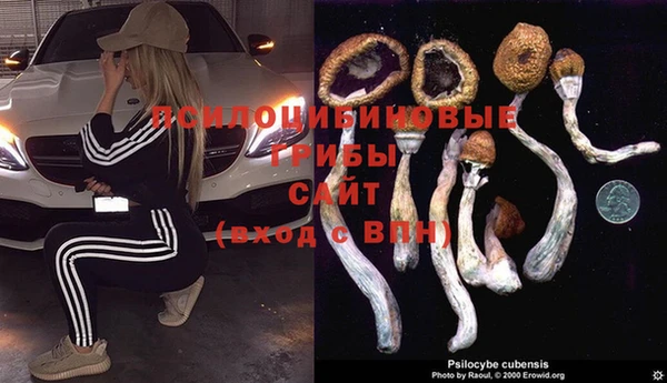 марки nbome Няндома