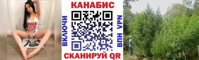 Конопля OG Kush Владимир